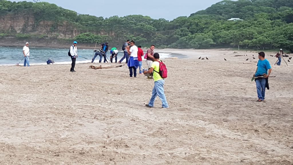 Tortugas1